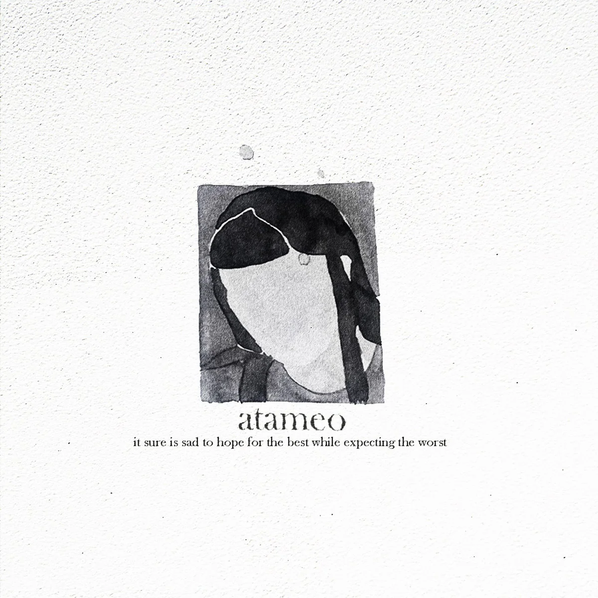 atemeo - it sure is sad to hope for the best while expecting the worst - Vinyl