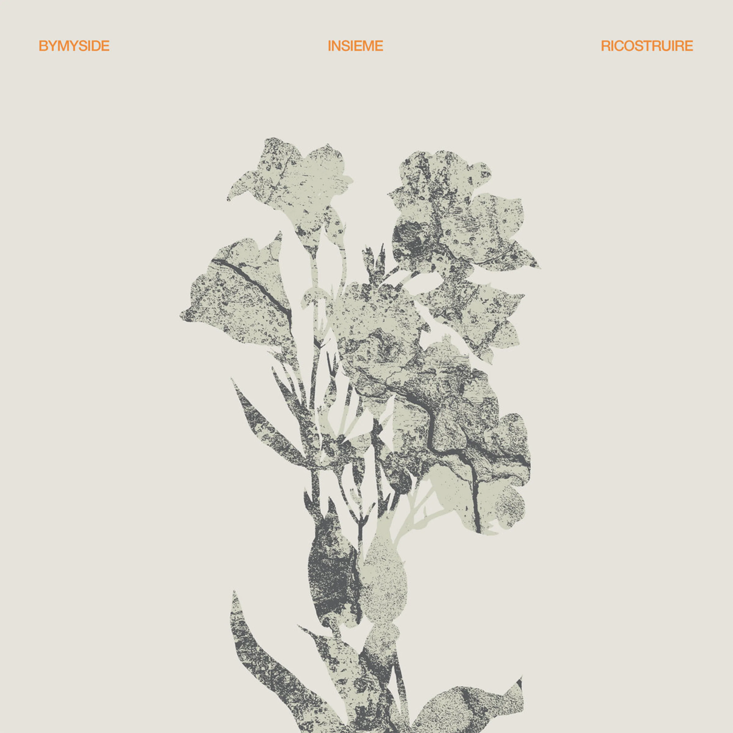 Bymyside - Insieme Ricostruire - Vinyl