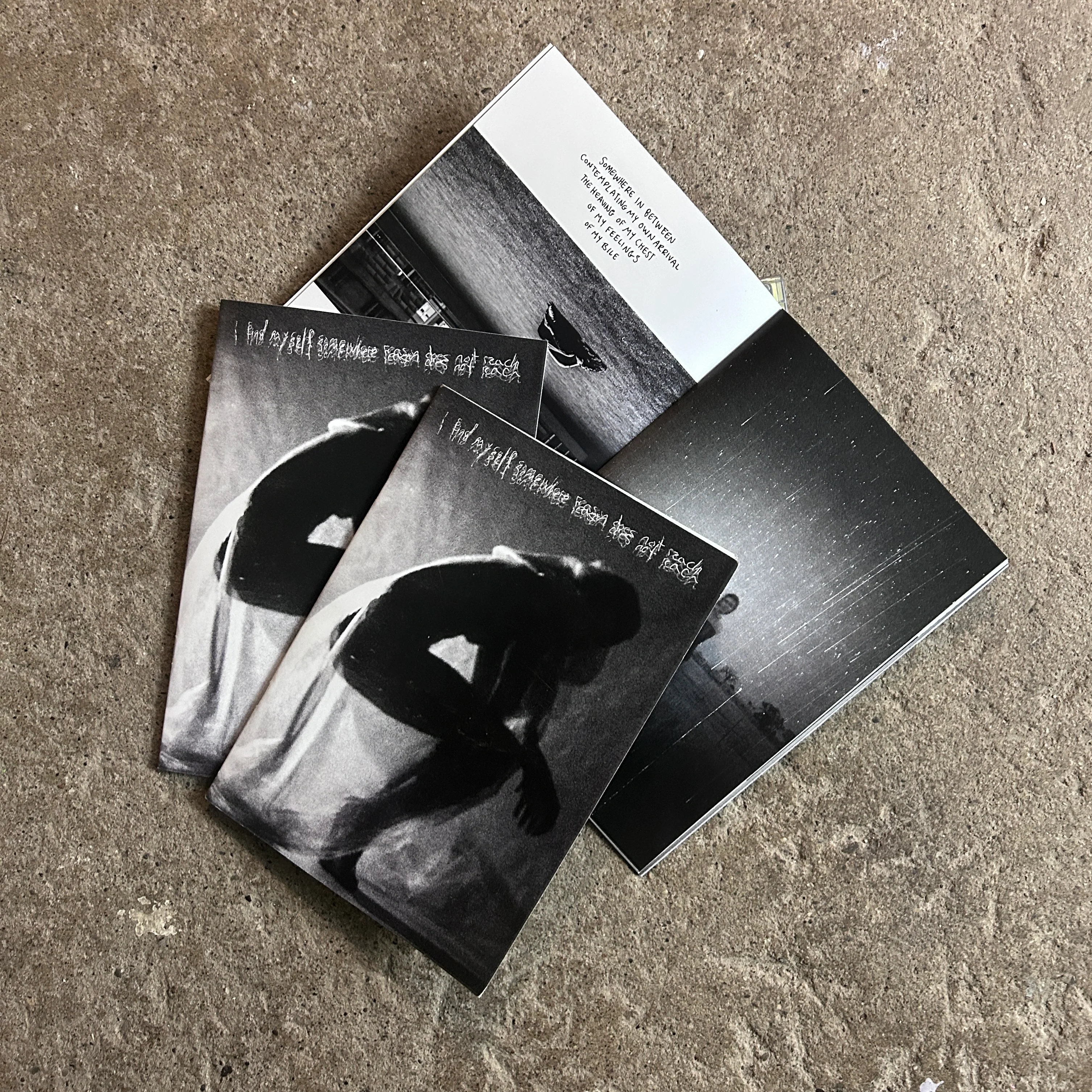 Hyperinstinct - I Find Myself Somewhere Reason Does Not Reach - Zine - Image 3